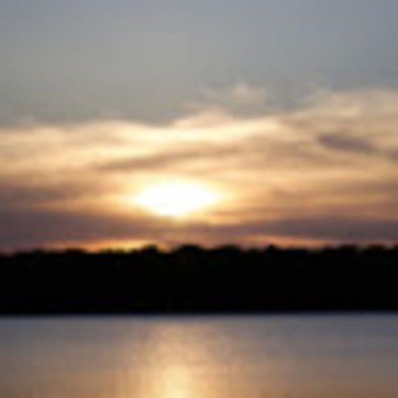 Meet your Posher, Yusuf - Picture 1 of 1